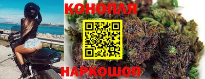 шишки Добрянка