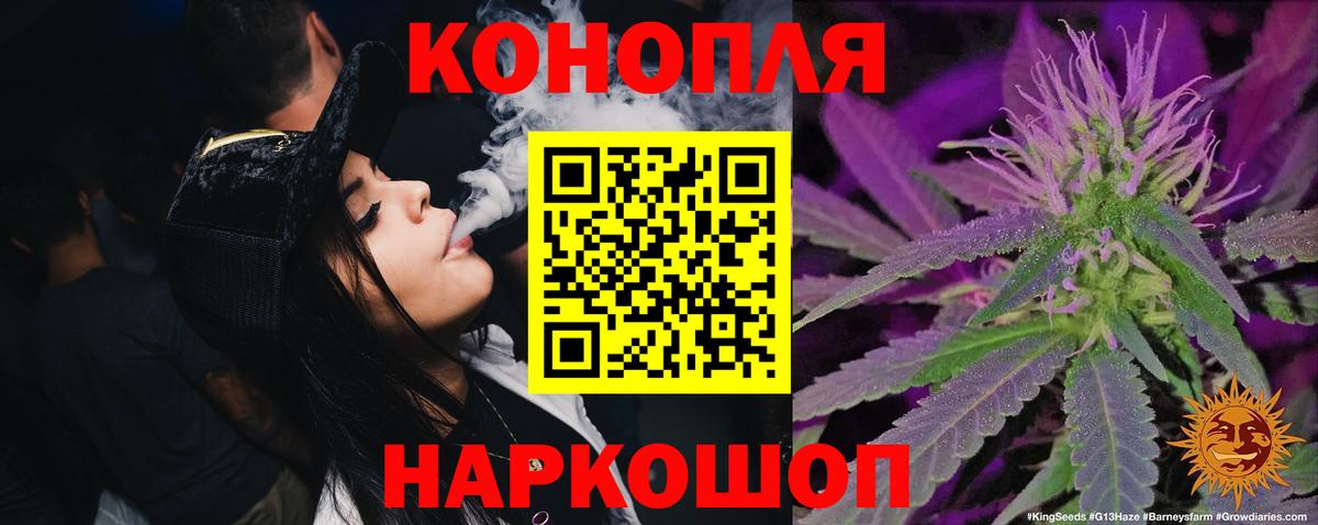 Конопля индика Борзя